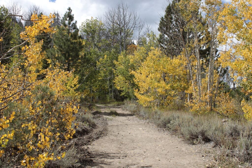 Hope Valley Fall Color, 9-20-25